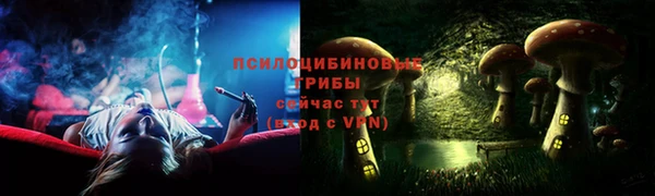 spice Бикин
