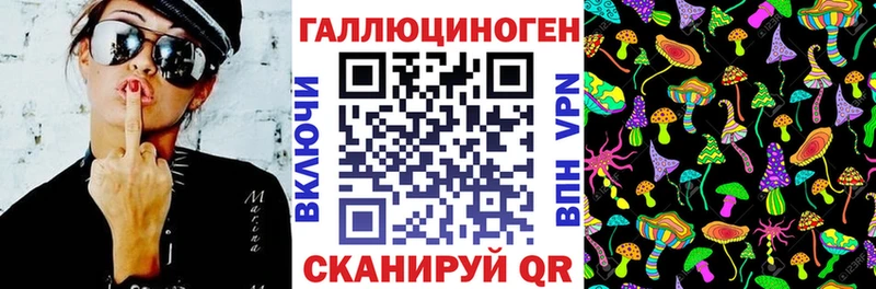 Псилоцибиновые грибы Psilocybe  Томилино 